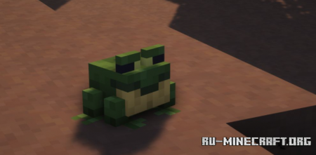  Mangrove Swamp Backport  Minecraft 1.16.5
