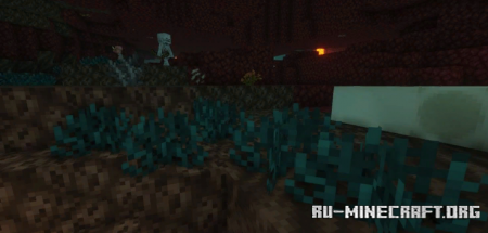  The Nethers Flora  Minecraft 1.16.5