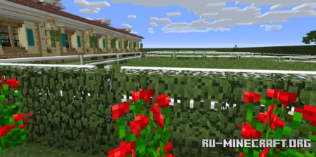  Floridian Equestrian Center  Minecraft