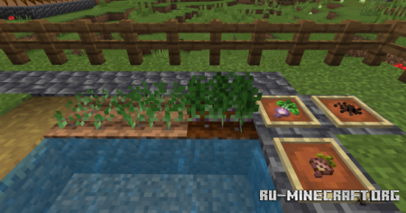 bum Crops  Minecraft PE 1.18