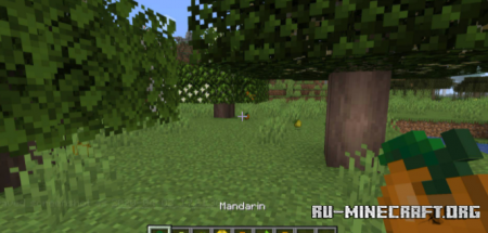  Fruit Trees  Minecraft 1.18.1