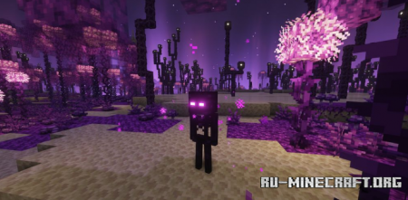  Plus The End  Minecraft 1.17.1