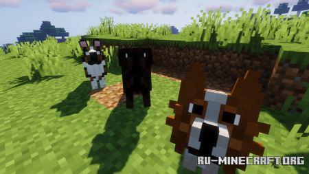  Better Dogs Resource  Minecraft 1.18