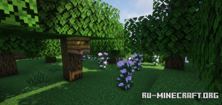 Скачать Beenfo для Minecraft 1.18.2