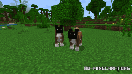  Dogs Plus  Minecraft PE 1.18