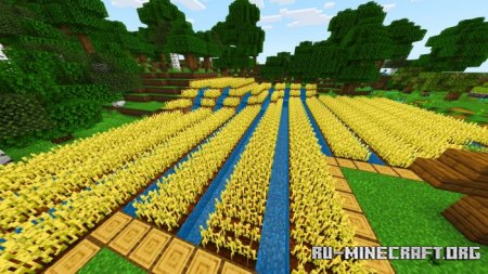 ������� Farm Map by CarolxP ��� Minecraft PE