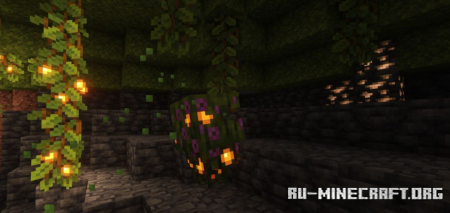  Unvoted & Shelved  Minecraft 1.19
