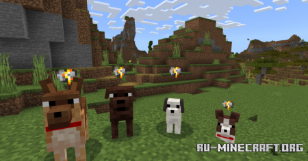  Domesticraft  Minecraft PE 1.19
