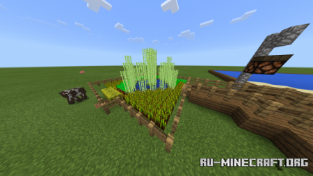  Little Wetburn City  Minecraft PE