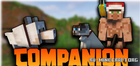  Companion  Minecraft 1.19