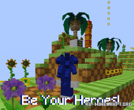  Sonic RX  Minecraft 1.18.2