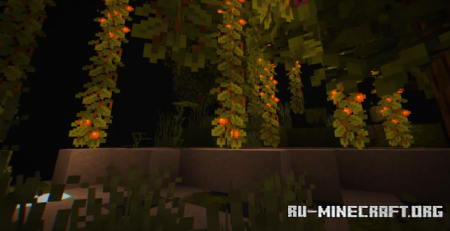 Find The Button Biomes 2 by ExtremeMcSquad  Minecraft
