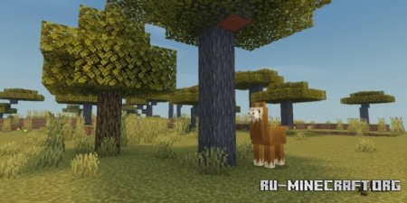  Newb Shader  Minecraft PE 1.19