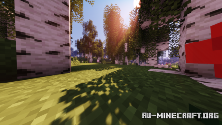 ������� Best Birch Forest Terrain ��� Minecraft PE