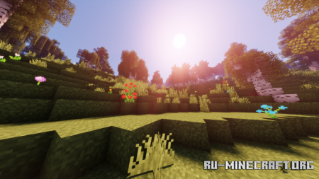 ������� Best Birch Forest Terrain ��� Minecraft PE