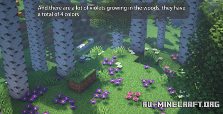  Wondrous Wilds  Minecraft 1.19.2