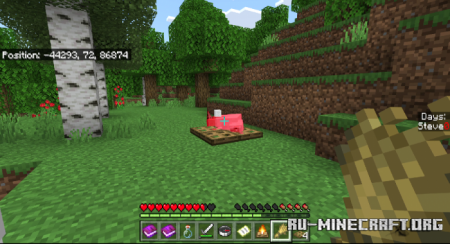 ������� Real Survival by Ura Like Animals ��� Minecraft PE