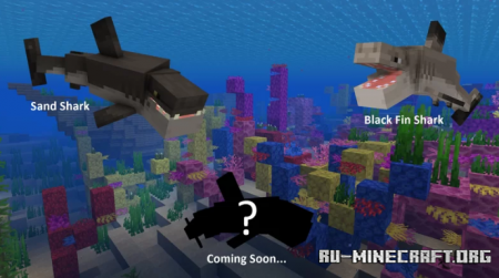 Скачать Sharks Plus для Minecraft PE 1.19