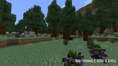  Better on Bedrock  Minecraft PE 1.19