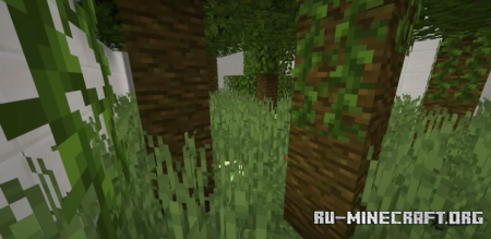  Find The Button: 15 Levels  Minecraft