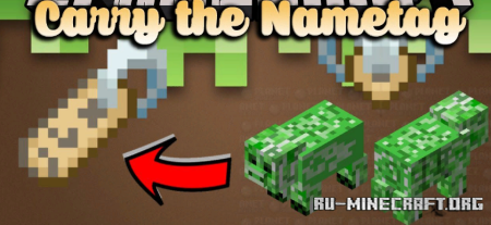  Carry the Nametag  Minecraft 1.19.2