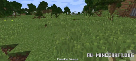  Seed Drop  Minecraft 1.19.3