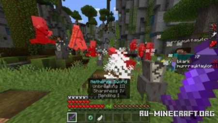     Minecraft PE