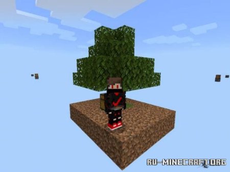      Minecraft PE