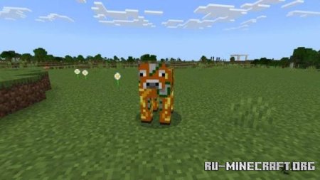 Скачать Улучшенный блочный мир для Minecraft PE 1.19