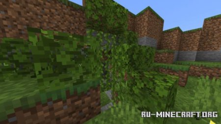������� ����� ������ - ��������� ��� Minecraft PE