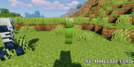 Randos Varied Mobs Resource Pack  Minecraft 1.19