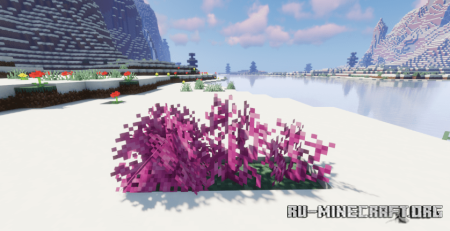  Corality Resource Pack  Minecraft 1.19