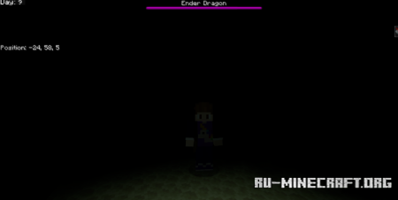     Minecraft PE