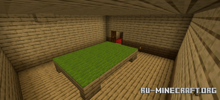       Minecraft PE
