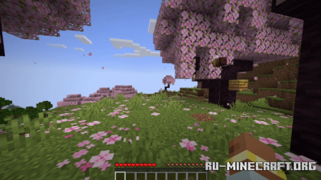  Illusory Walls  Minecraft 1.19.4