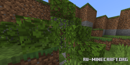  :   Minecraft PE