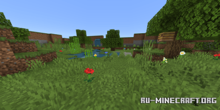   :   Minecraft PE