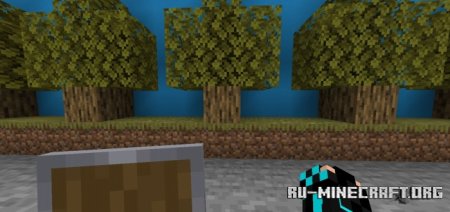      Minecraft PE 1.19