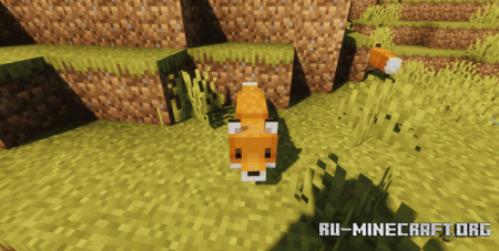  Cuter Foxes Resource Pack  Minecraft 1.19