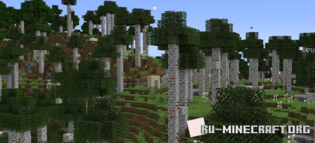 Скачать Silver Birch для Minecraft 1.19.4