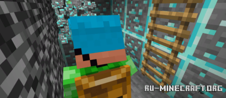 ������� ���� (���) ��� Minecraft PE