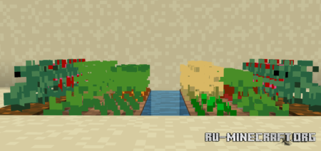     Minecraft PE 1.19