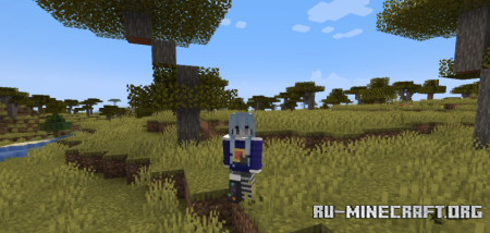  Edorens Skin Changer  Minecraft 1.20.1
