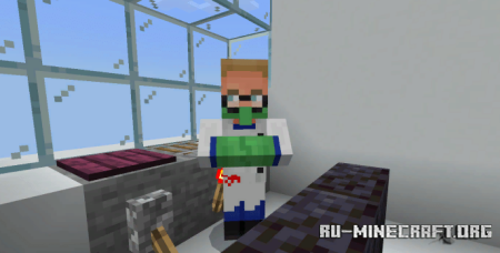        Minecraft PE