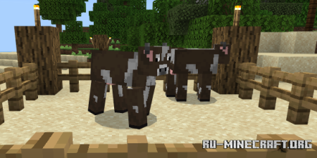     Minecraft PE 1.18