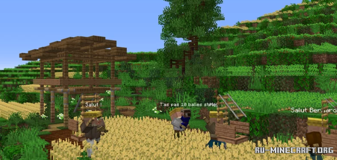 Скачать Rice Fields by mine67 для Minecraft