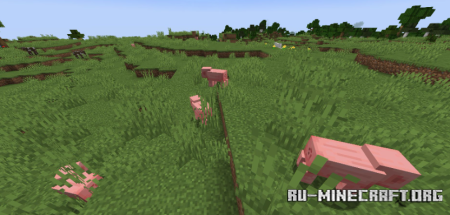  Erroring Entity Remover Reforged  Minecraft 1.20.1