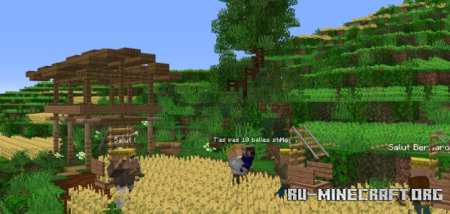 ������� Rice Fields by mine67 ��� Minecraft