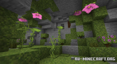  VASS Hide And Seek by Dex1de  Minecraft