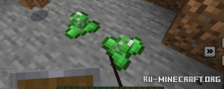     Minecraft PE 1.20